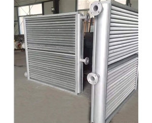 蒸汽空气换热器